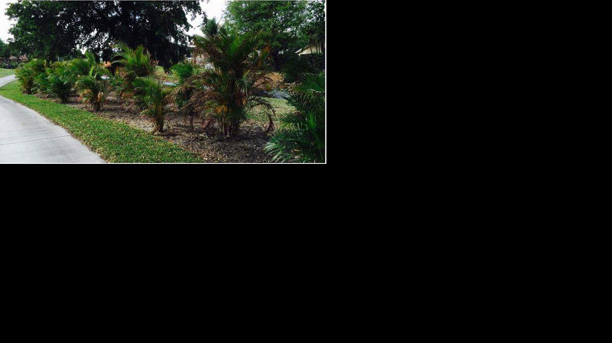 
As golfers on the Silver Course in Doral Park look down the fairways, they would still not be able to see the backyards of residents’ homes, according to a proposal.
