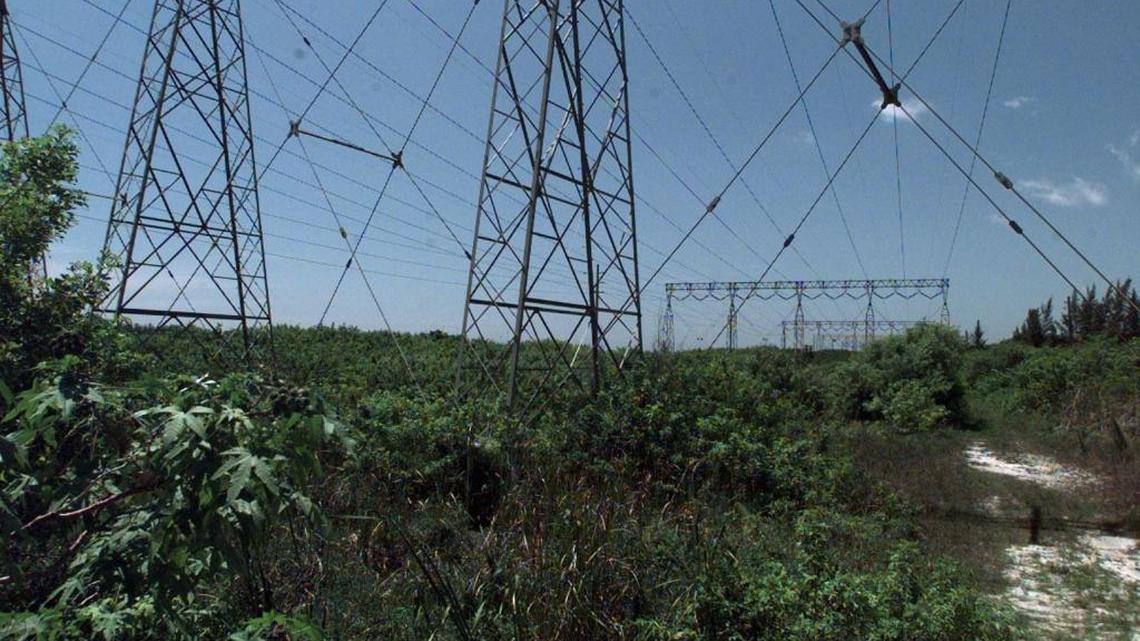 Representatives from Miami-Dade County and several municipalities in the county spoke Wednesday against a bill that would allow transmission power lines in their cities and in environmentally sensitive areas to the west.