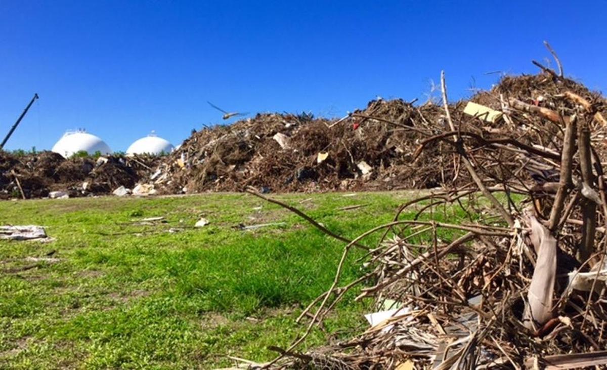 Large piles of post-Irma debris mixed with trash have been deposited at a site on Virginia Key next to the lagoon, mountain bike trails and Virginia Key Outdoor Center.