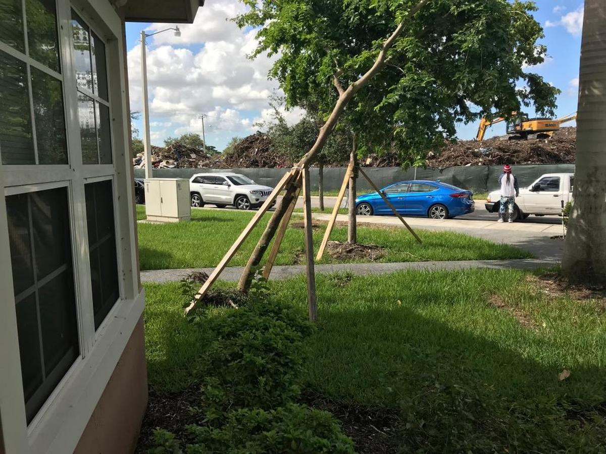 The front stoop view from a unit at the Northpark at Scott Carver apartment complex: a temporary county dump across the street filled with nearly 350,000 cubic yards of storm debris.