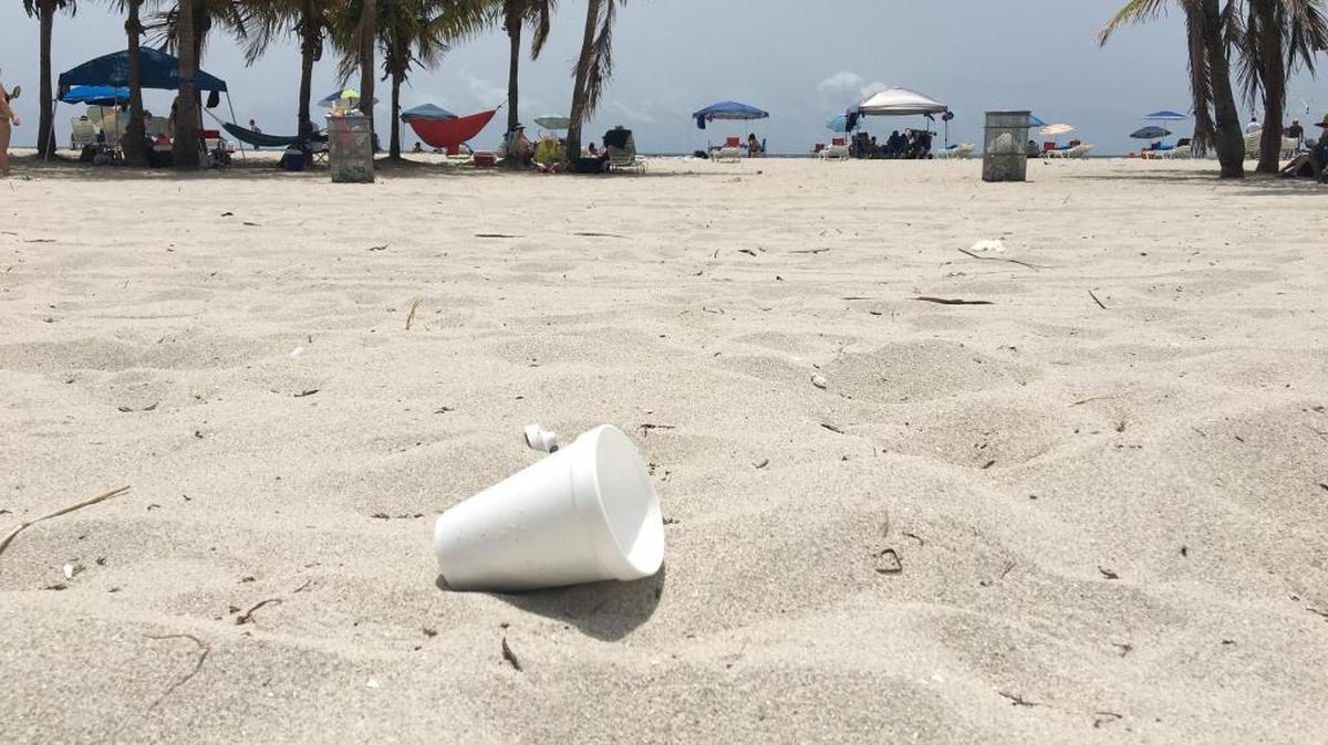 A cup made of polystyrene, the generic name for Styrofoam, makes it away across the sands of Crandon Park before a reporter deposited it in the trash. A proposed Miami-Dade law would ban polystyrene from county parks like Crandon.