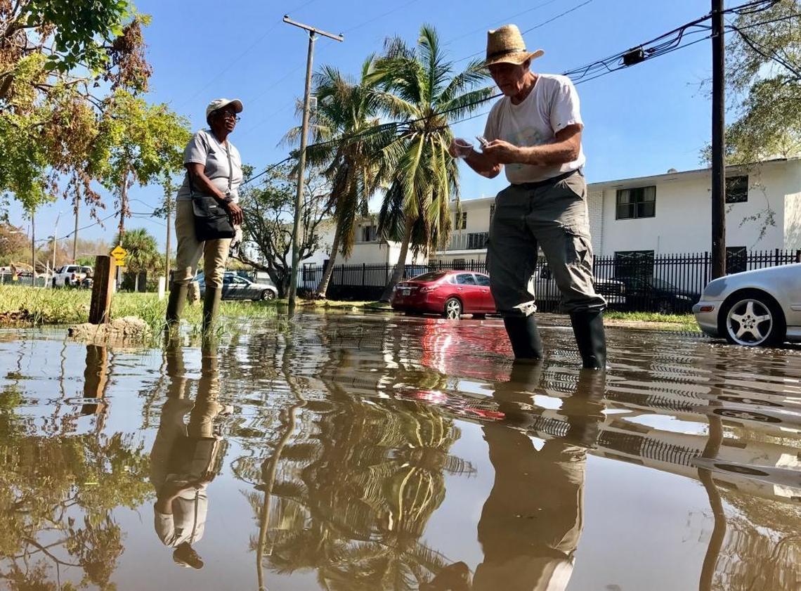 Beverly Ward and John Heimburg collect samples of floodwater in Miami’s Upper Eastside during Wednesday morning’s king tide. Ward is the field secretary for Earthcare, an environmental group in the regional division of the Quakers.