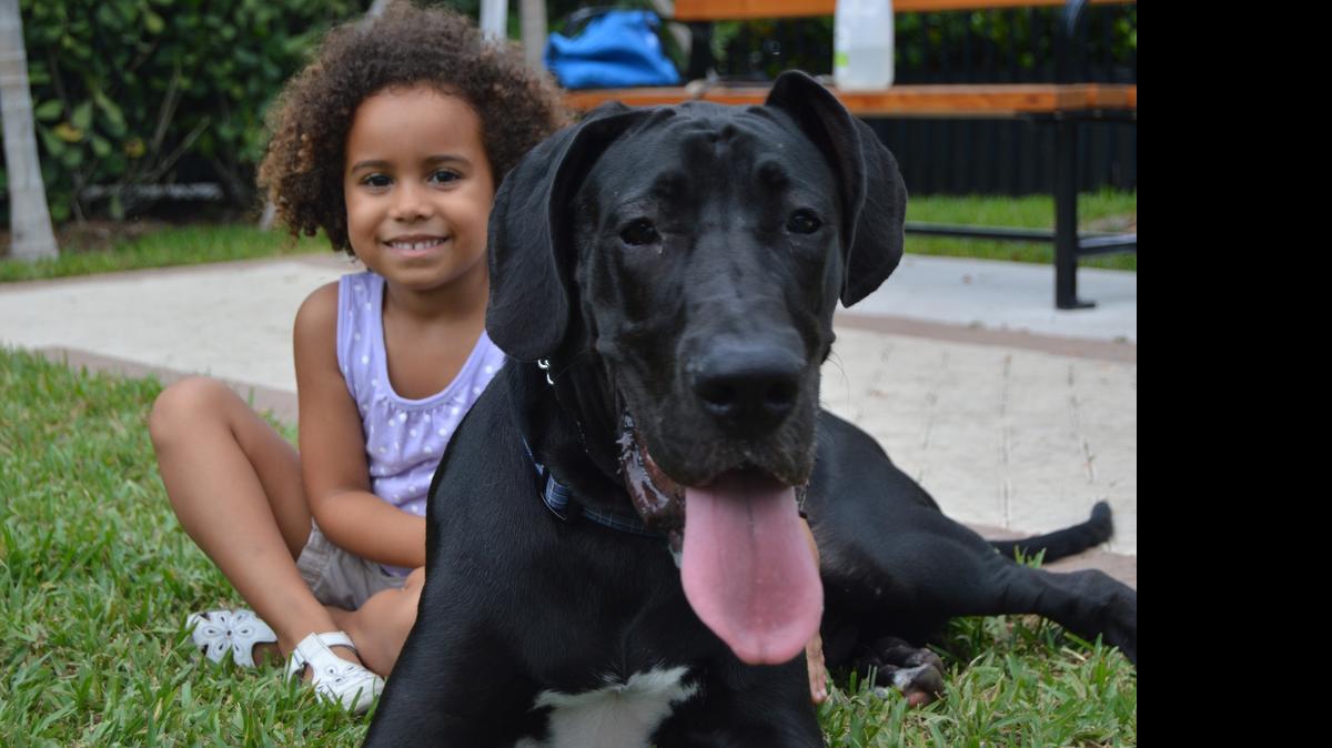 
Bellamie Dreher,4, enjoys time in the Scott A. Winters Park dog area with her Great Dane Shakespeare.
