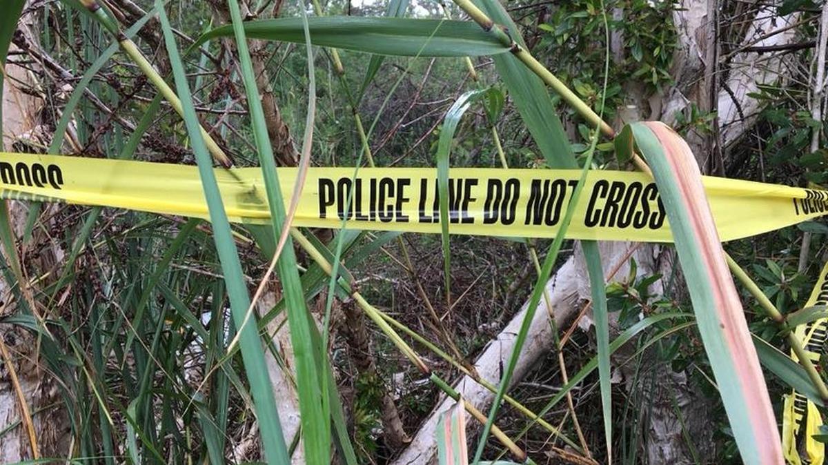 Crime scene in Hialeah