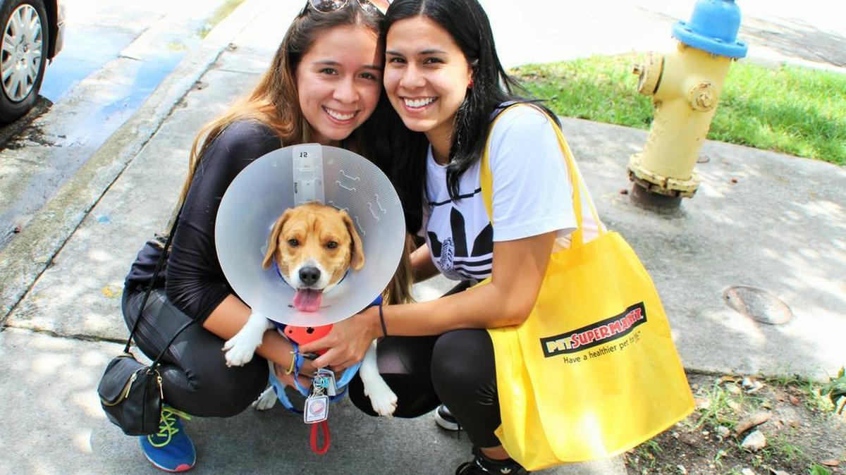 
Miami sisters Paula and Diana Henao adopted Coco, a 2-year-old beagle, from the Humane Society of Greater Miami on Saturday afternoon during Clear the Shelters.
