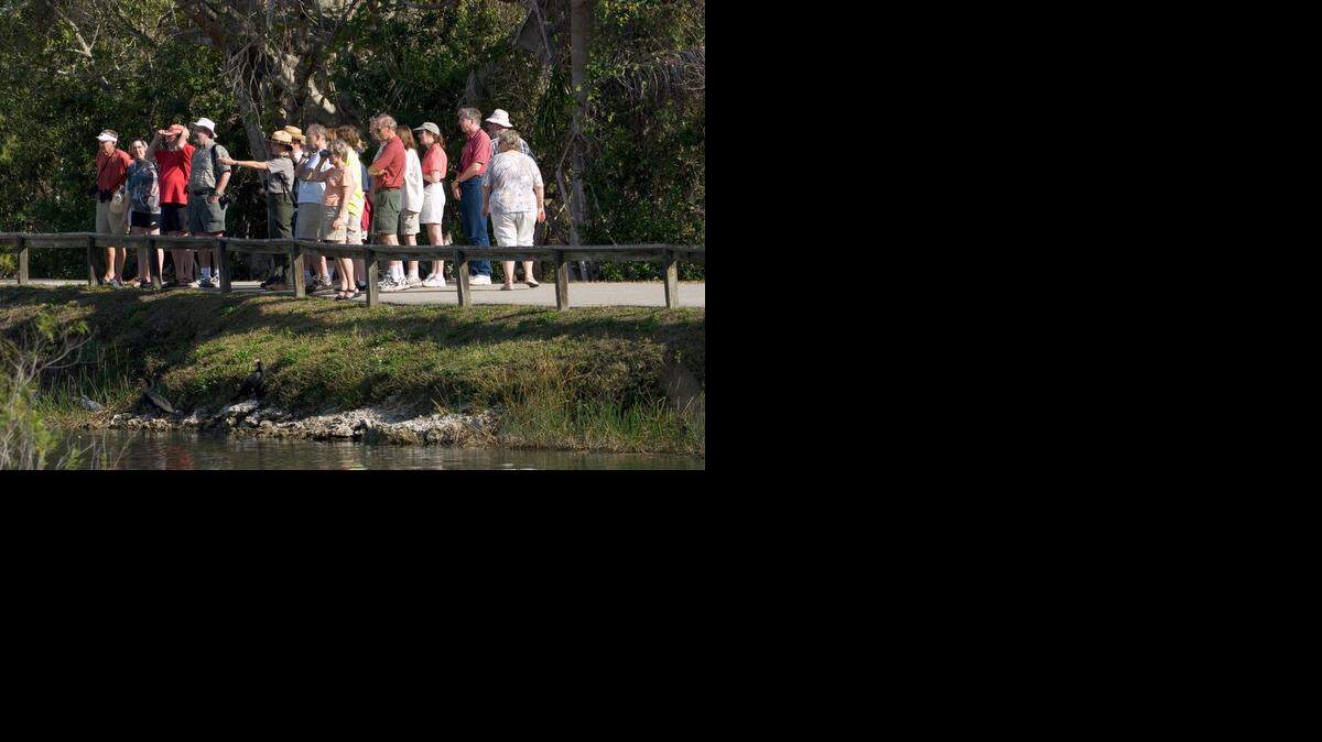 
A ranger leads a nature walk through Anhinga Trail in the Everglades. 
