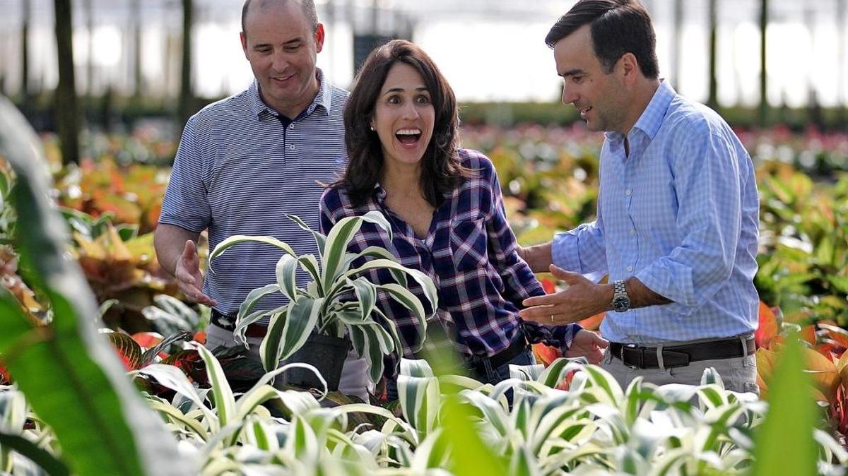 Costa Farms CEO Jose Smith, his wife Executive Vice President Maria Costa Smith, and Executive Vice President Jose A. Costa go through some of the new plant arrivals in one of their company’s many greenhouses in South Miami-Dade. Costa Farms is a third-generation, family-owned group of companies headquartered in Miami. The company was founded in 1961 when Jose Costa Sr. purchased 30 acres south of Miami to grow fresh, vine-ripened tomatoes in the winter.