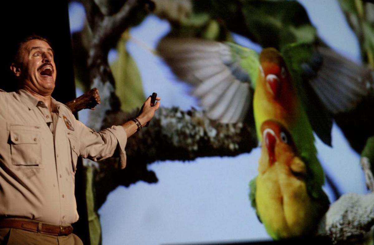 Miami Zoo Ambassador Ron Magill imitates the mating process of lovebirds (shown on screen) at his annual “Sex & the Animals” presentation several years ago. After a three-year hiatus, Magill will give his well-known presentation on Feb. 3, 2018.