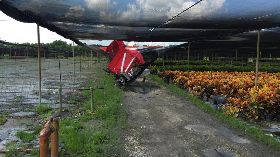 A single-person glider plane made a crash landing Monday morning inside United Nursery, near Southwest 217 Avenue and Southwest 312 Street in Homestead, Tuesday.