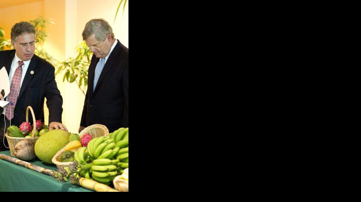 
Rep. Joe Garcia, left, and U.S. Agriculture Secretary Tom Vilsack talk about some of Florida’s unique tropical crops. One of the projects funded by the USDA through the Farm Bill is a partnership between the USDA and Miami-Dade County to connect local residents with local crops. 
