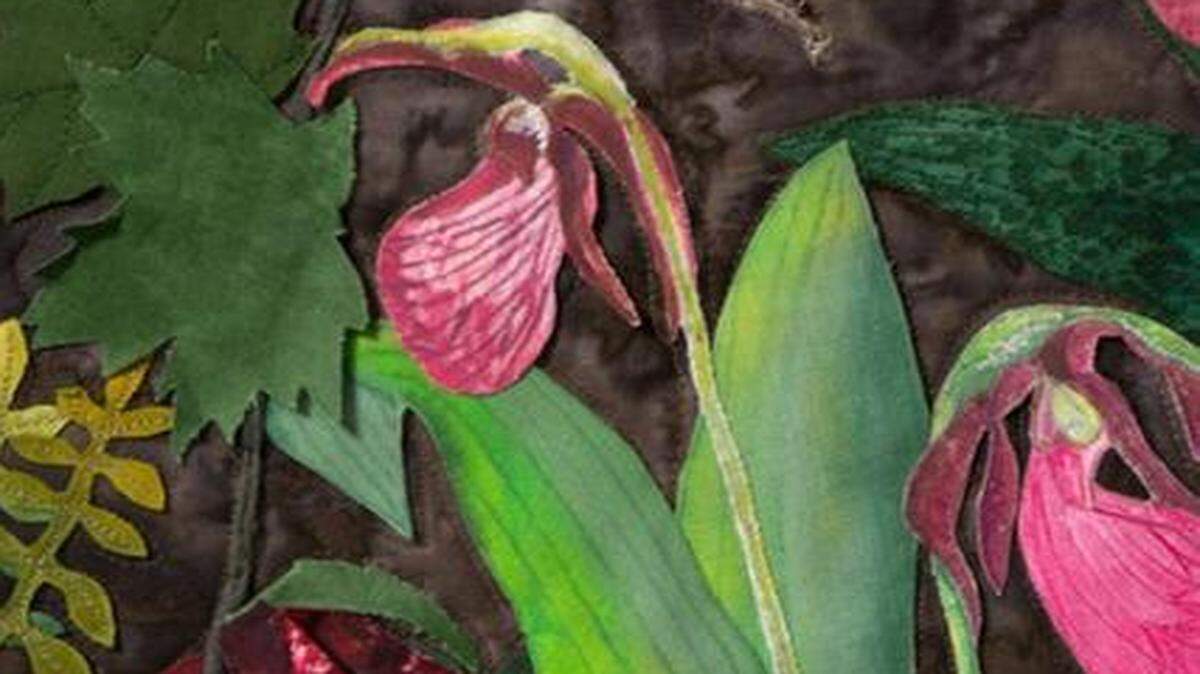 
“Pink Ladies” is the piece about the Pink Lady Slipper plant that grows in Smoky Mountain National Park in Tennessee. It is a three-dimensional quilt piece that was painted and stitched together for the exhibit, “Piecing Together a Changing Planet,” at Biscayne National Park. It costs $2500.
