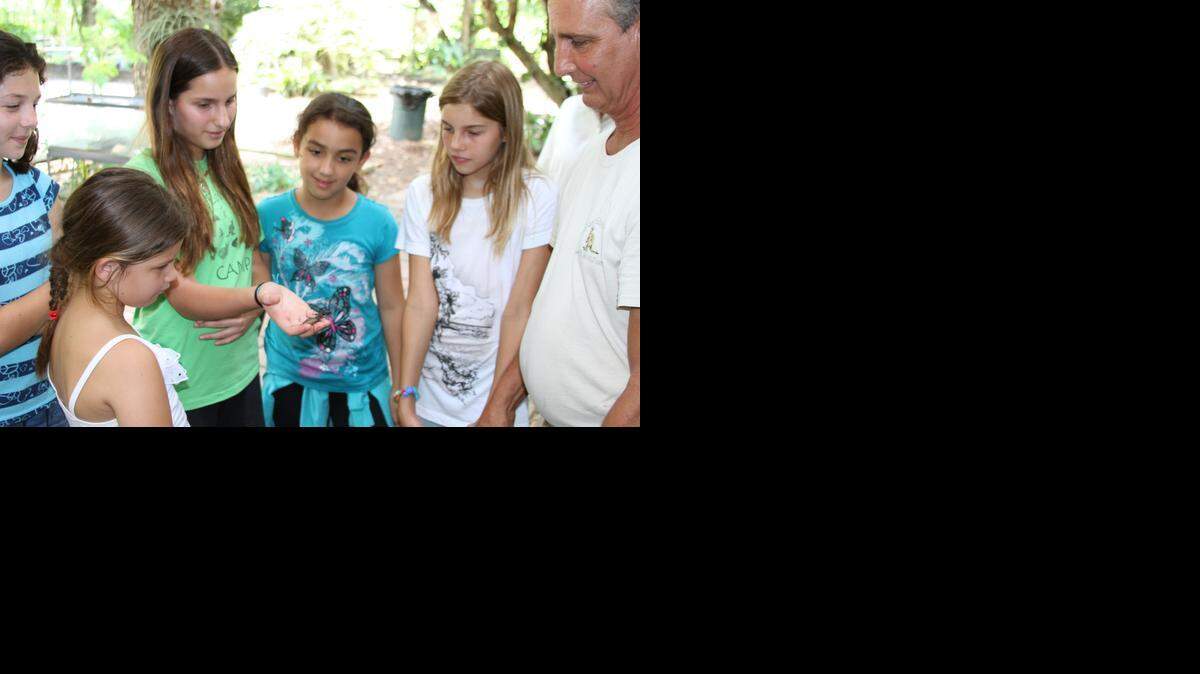 
Glenn Fried, far right, looks on as campers hold and observe an African Vingaroon, an arachnid that sprays a vinegar-scented substance when bothered.
