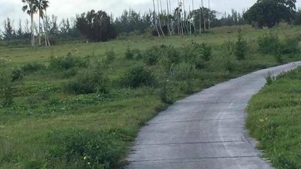 Homestead’s Keys Gate Country Club is now overgrown and abandoned.