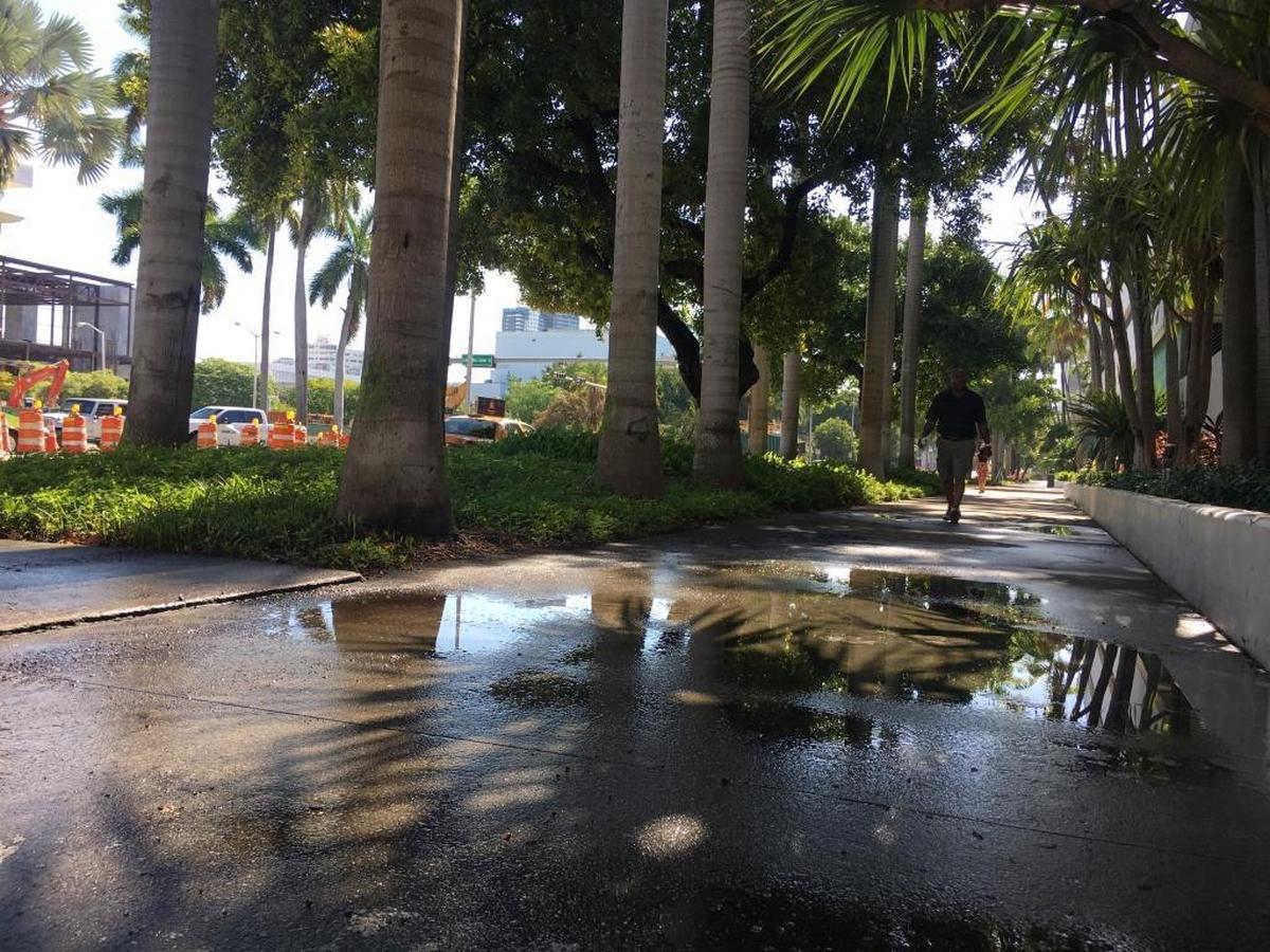 Sidewalk puddles are the only reminders of the flooding that soaked Miami Beach Tuesday.