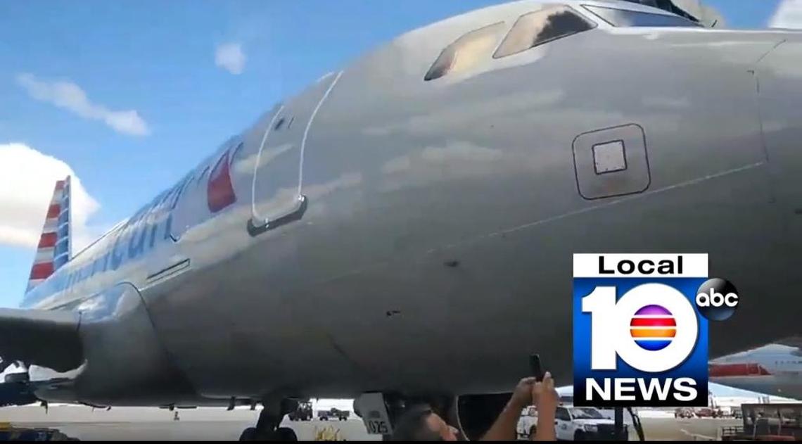 Airport personnel snap photos with their phones of a bird embedded in the nose of an American Airlines Airbus A319 at Miami International Airport.