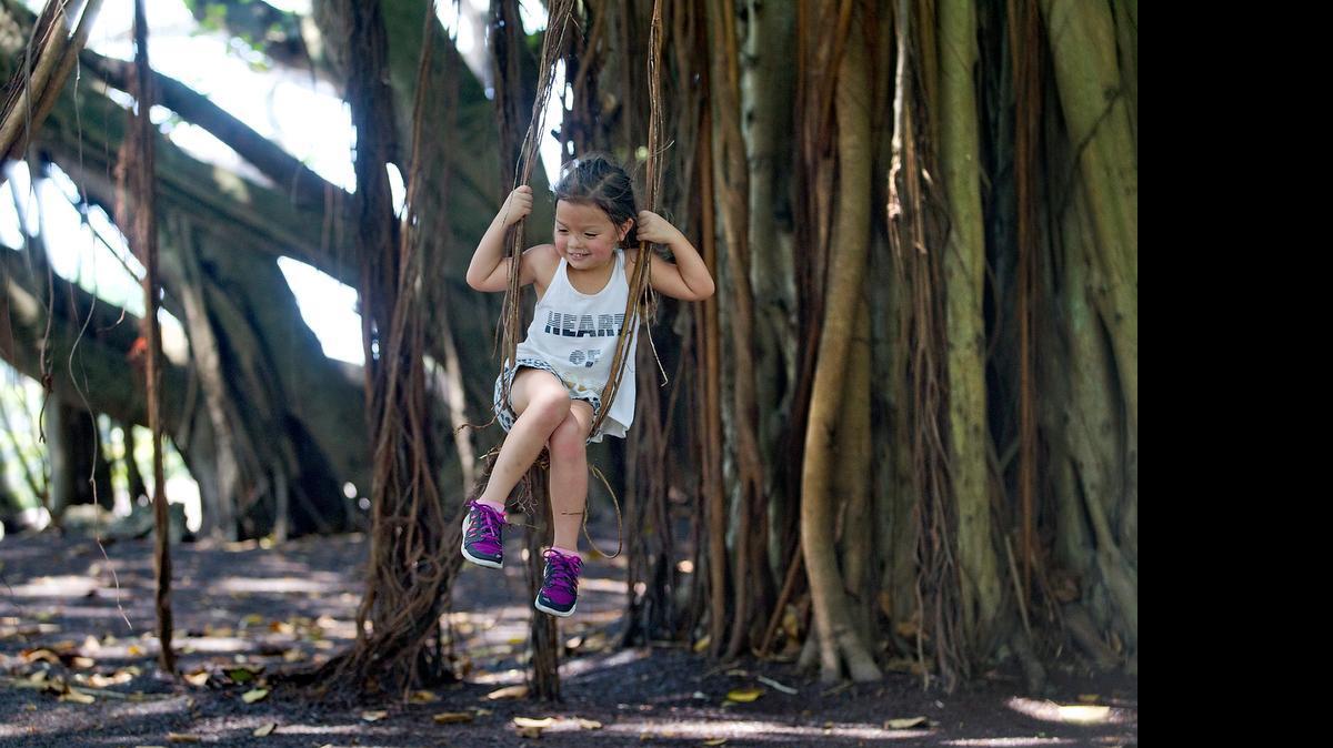 
Arianna Smith, 5, of Kendall enjoys a swing in the shade at Merrie Christmas Park in Coral Gables on Sunday, April 26, 2015. Sunday broke the record for the hottest day at 96 degrees. 
