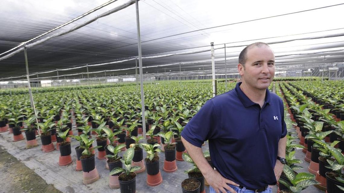 Jose “Joche” Smith, chief executive at Costa Farms, in a shade house containing thousands of indoor plants on May 18, 2011 in southwest Miami-Dade.