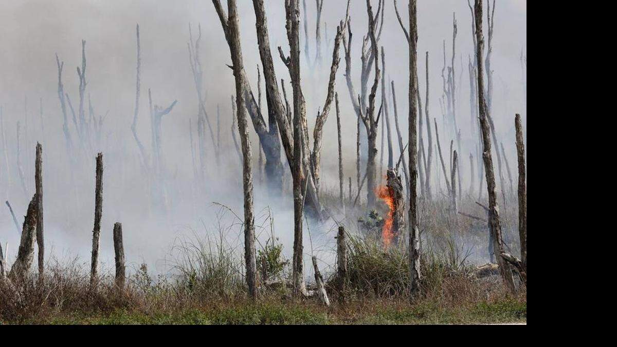 
The brush fire along Southwest Eighth Street, near Krome Avenue, was under control Monday but hot spots and haze were still evident. 


