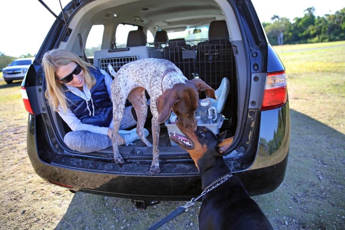 In this 2018 photo, Susie Hannan and her dog Rosie, a German Shorthaired Pointer, greet Max, a Doberman Pinscher belonging to Ralph Garcia at West Matheson Park. The park reopened June 10 after being closed nearly three months to suppress the spread of coronavirus and will close again in the fall during an improvement project.