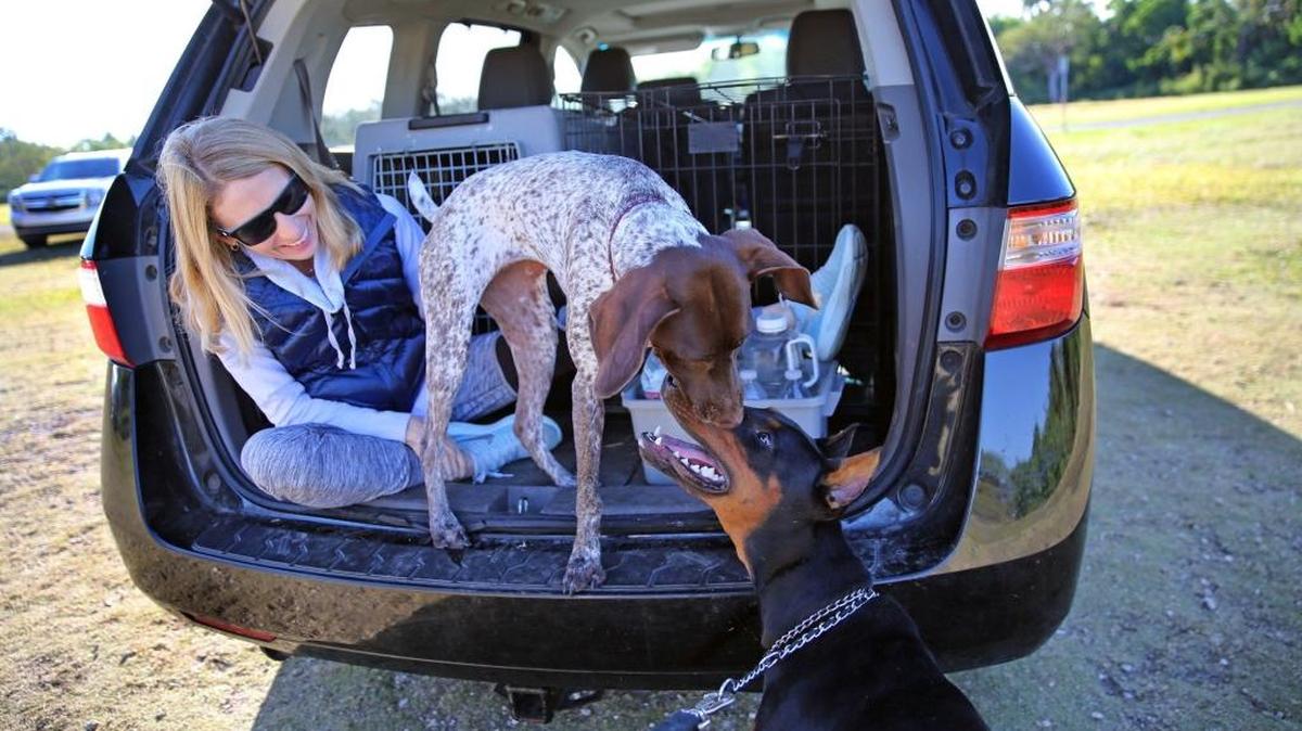 In this 2018 photo, Susie Hannan and her dog Rosie, a German Shorthaired Pointer, greet Max, a Doberman Pinscher belonging to Ralph Garcia at West Matheson Park. The park reopened Monday after being closed nearly three months to suppress the spread of coronavirus.