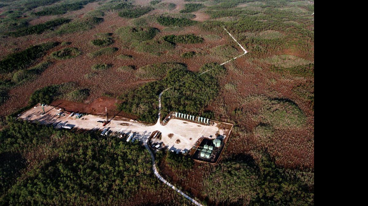 
An aerial shot in 1999 shows one of the concrete pads that holds a drill and tanks at Raccoon Point in the Big Cypress National Preserve. A Texas oil company now wants to survey for oil on 110-square miles in the wilderness refuge.
