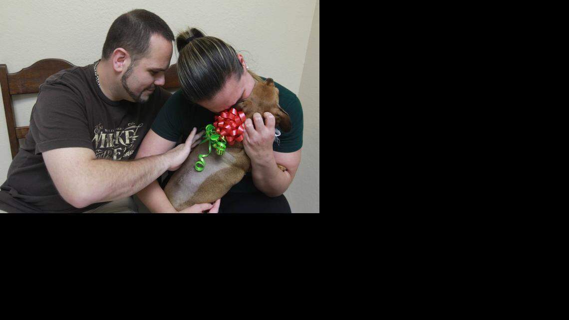 
David Hageman, left and his wife Sumey Hageman, right are reunited with Lola, a 4-year-old dachshund, Wednesday, December 24, 2014. Lola, was given back to them after a veterinarian performed emergency back surgery on her. Michael Wong, a veterinarian at Southeast Veterinary Neurology, performed the $6,000 surgery and asked the rescue group to give the dog back to the family.
