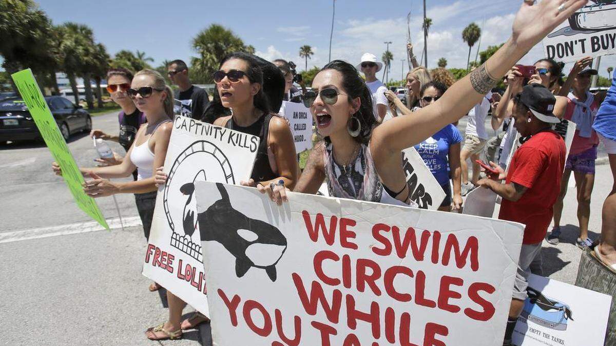 
Barbara Fulchini, foreground, 24, of Miami, and Adriana Pruitt, center, 32, of Miramar, Fla., attempt to turn back people at the entrance to the Miami Seaquarium during a protest against Lolita the orca's decades-long captivity at the Miami Seaquarium, Sunday, Aug. 9, 2015, in Miami. The People for the Ethical Treatment of Animals (PETA) and other groups have sued in Miami federal court, saying Lolita should ultimately be removed to a sea pen under a retirement plan that would more closely mimic her natural Pacific Ocean environment. 
