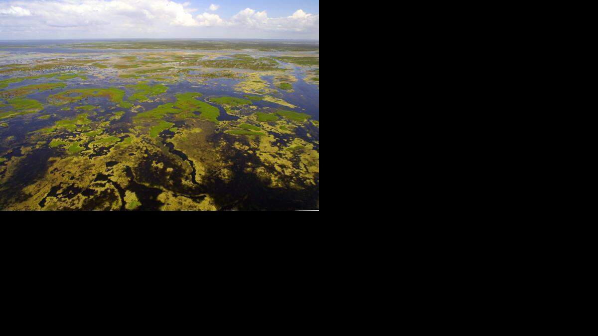 
To restore the Florida Everglades, supporters of a failed bid to buy U.S. Sugar land say the state needs to purchase more land south of Lake Okeechobee.
