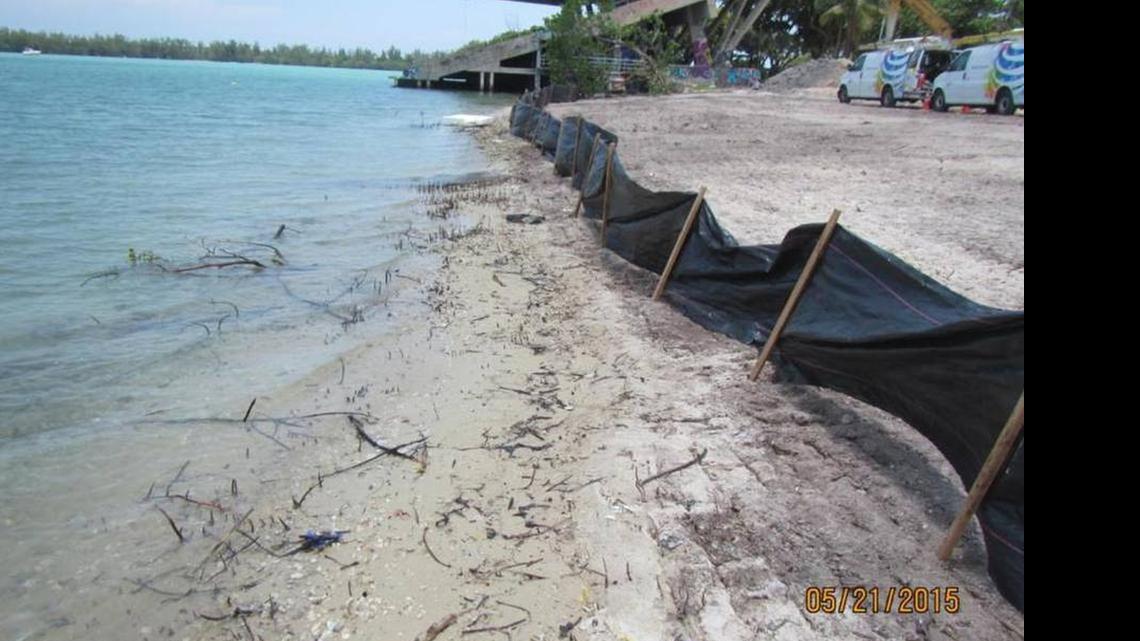 
Area near the Miami Marine Stadium where mangroves were removed.
