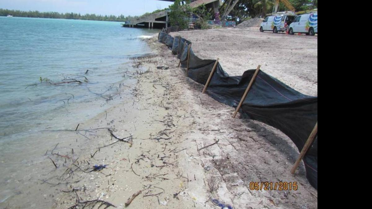 
Area near the Miami Marine Stadium where mangroves were removed.
