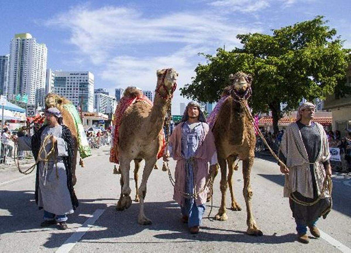 Shepherds walk their camels down Calle Ocho during the Three Kings Day Parade. This year’s parade will take place Sunday.
