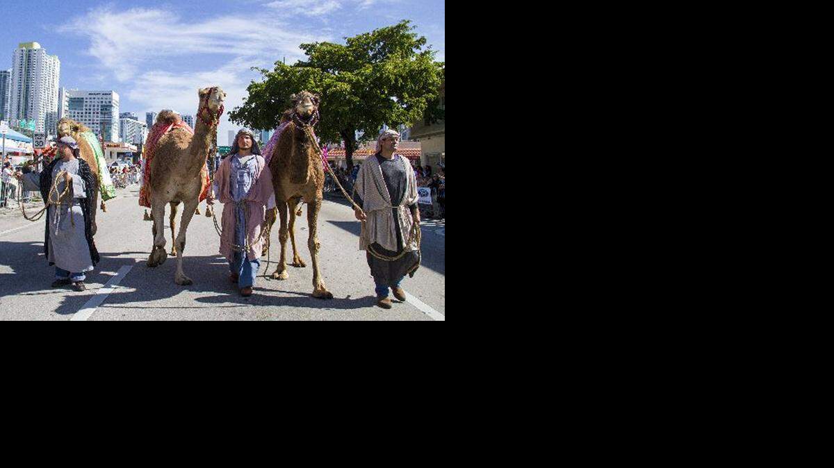 
Shepherds walk their camels down Calle Ocho during the Three Kings Day Parade last year. This year’s parade will take place Sunday.
