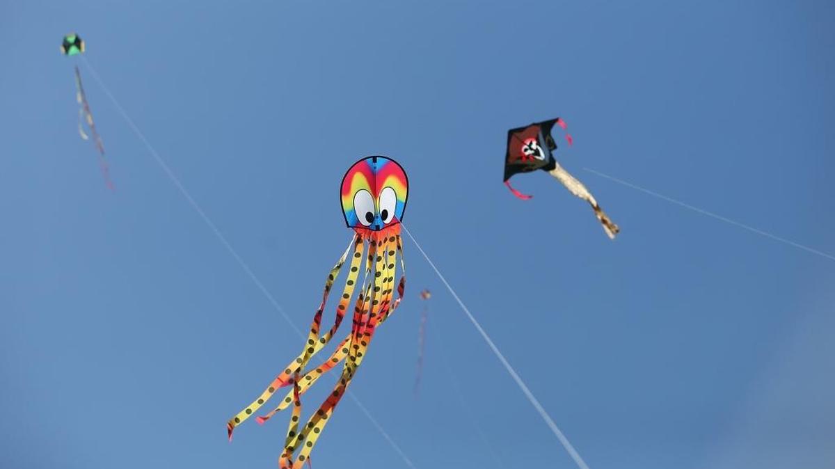 Kites fly during the 24th annual Kitetoberfest kite festival on Sunday, Oct. 23, 2016 at Haulover Beach Park.