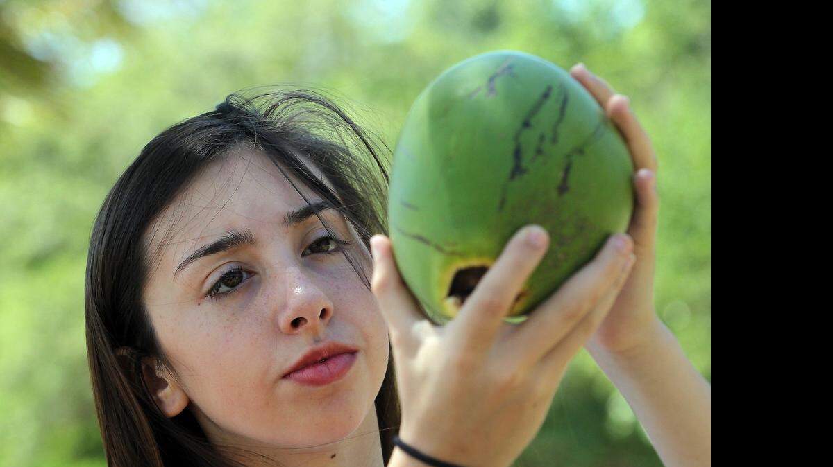 Miami Beach Senior High student Rebecca Rauch-Thane, 14, received a scholarship from Florida International University based on her science fair project, where she proved there is soil contamination in Virginia Key/Key Biscayne by testing the coconut water from coconuts in the area for heavy metals.