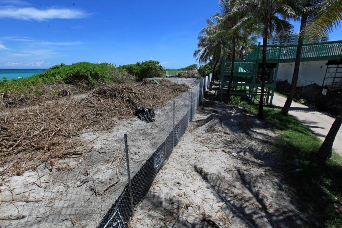 Piles of invasive vegetation sit just north of 53rd Street on Aug. 15, 2017. The plants have been bulldozed as part of a dune restoration and construction of a beachside walking path.