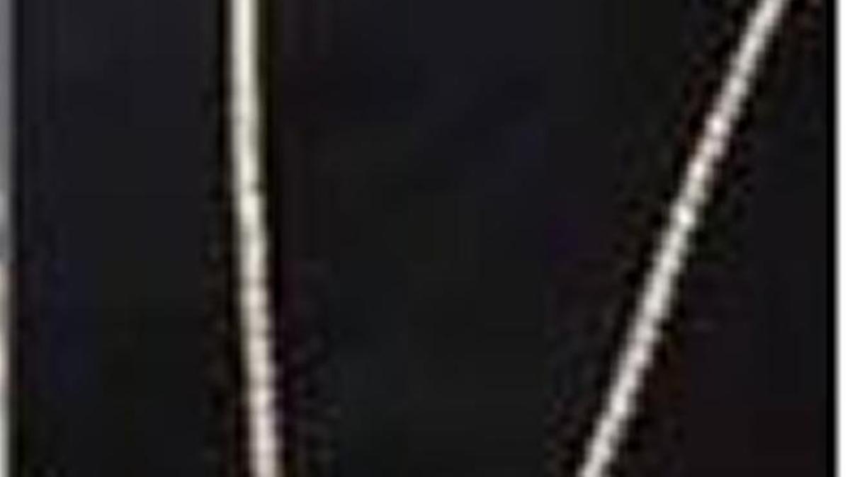 Miami’s Leonard Lopez claims he lost a $100,000 platinum chain that looks like this in Tuesday’s overnight armed robbery.