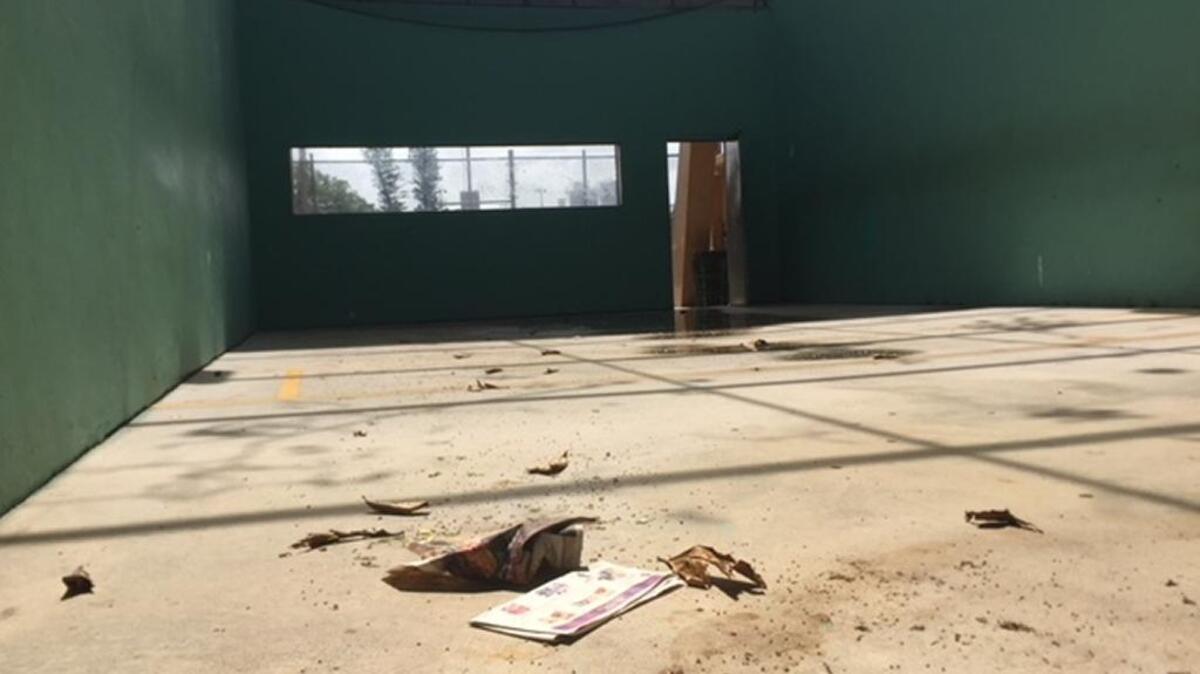The Flamingo Park handball/racquetball courts in Miami Beach have massive cracks and holes, and are strewn with piles of leaves, branches and newspapers from months ago.