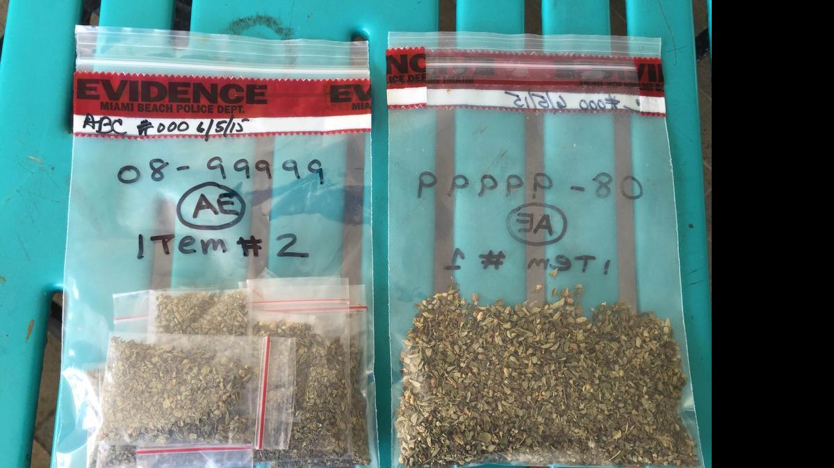 
Miami Beach Police Chief Dan Oates displayed these two bags of oregano at Wednesday’s City Commission meeting to illustrated what 20 grams of marijuana looks like. He said he’d tell cops to arrest and criminally charge a person found with a bag like the one on the left, which implies an intent to sell. In the department’s view, the bag on the right implies personal use.
