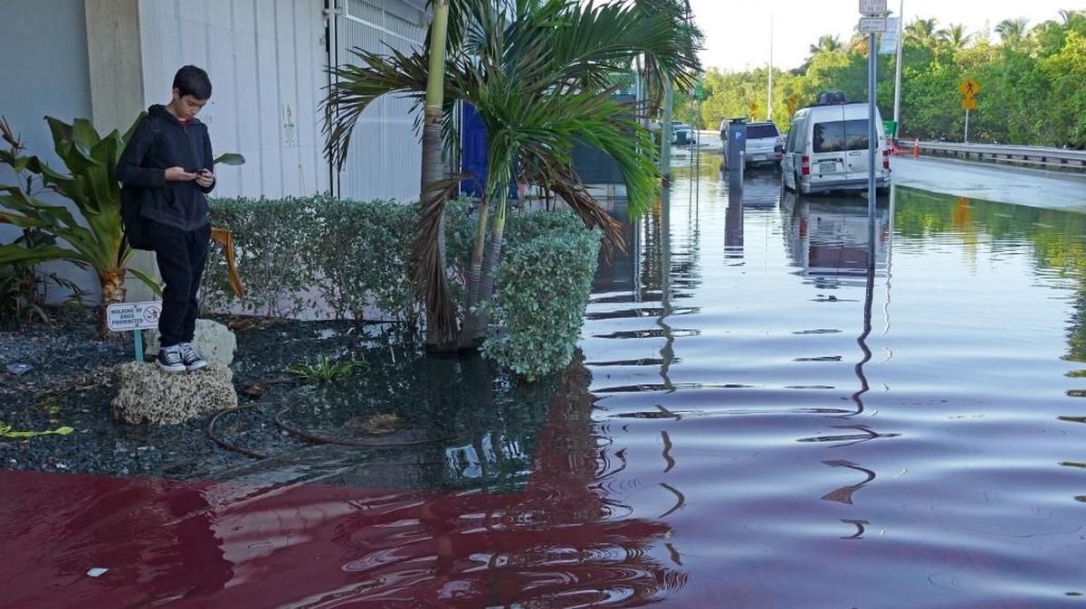 Alejandro Herrera , a seventh-grader at Nautilus Middle School in Miami Beach, waits for the school bus in front of his condo on Indian Creek Drive during high tide on Miami Beach.