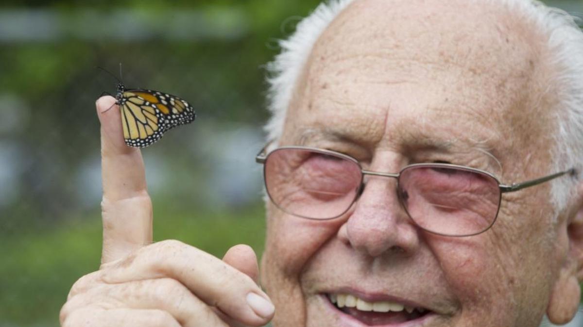 
Jose Duran, 90, holds one of the monarch butterflies cultivated at Pine Tree Park Community Garden in Miami Beach. Duran has helped maintain the garden since it was established five years ago.
