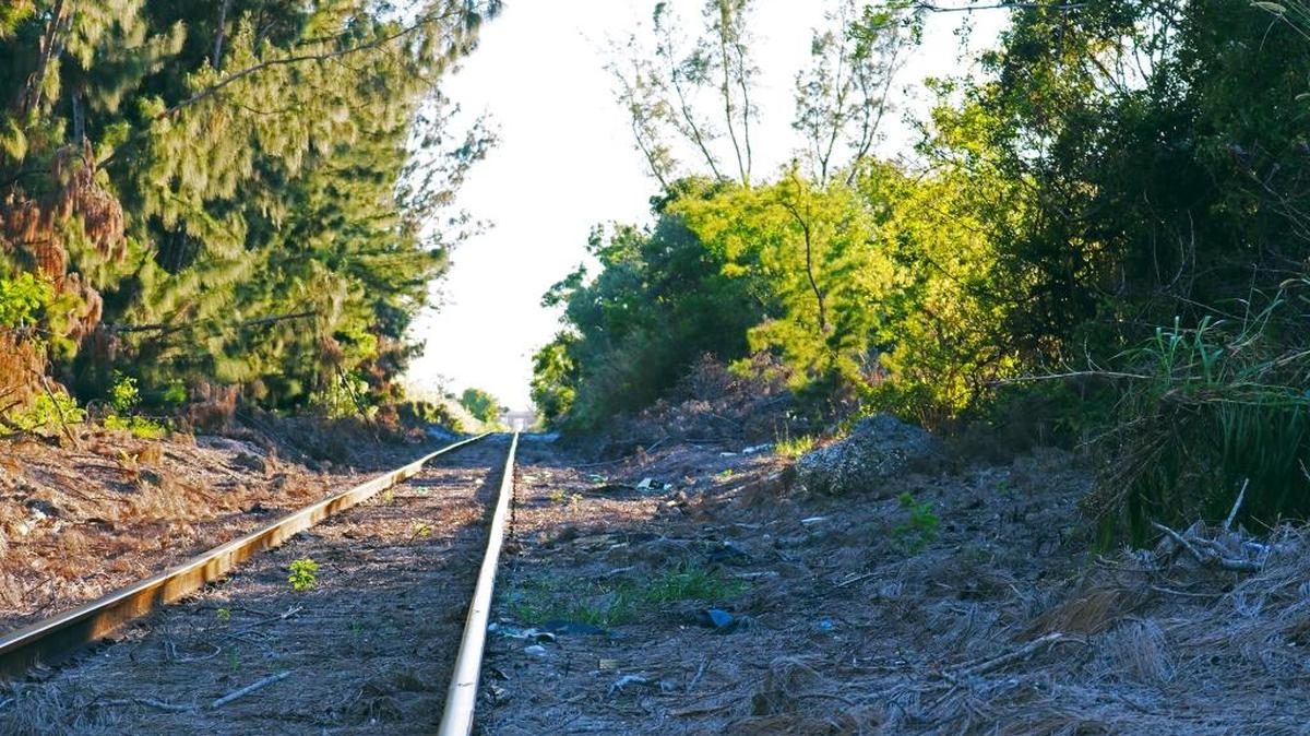 Unused train track corridors are being converted into paved, multiuse trails for pedestrians and non-motorized vehicles throughout the state as part of Florida’s $25-million-per-year SUN Trail program.