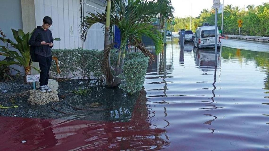 A middle-school student in Miami Beach waits for the school bus in front of his condo on Indian Creek Drive during the king tide in autumn of 2015.