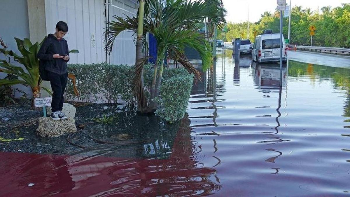 Un estudiante de escuela intermedia en Miami Beach espera el autobús escolar frente a su condominio en Indian Creek Drive durante la marea real en otoño de 2015.