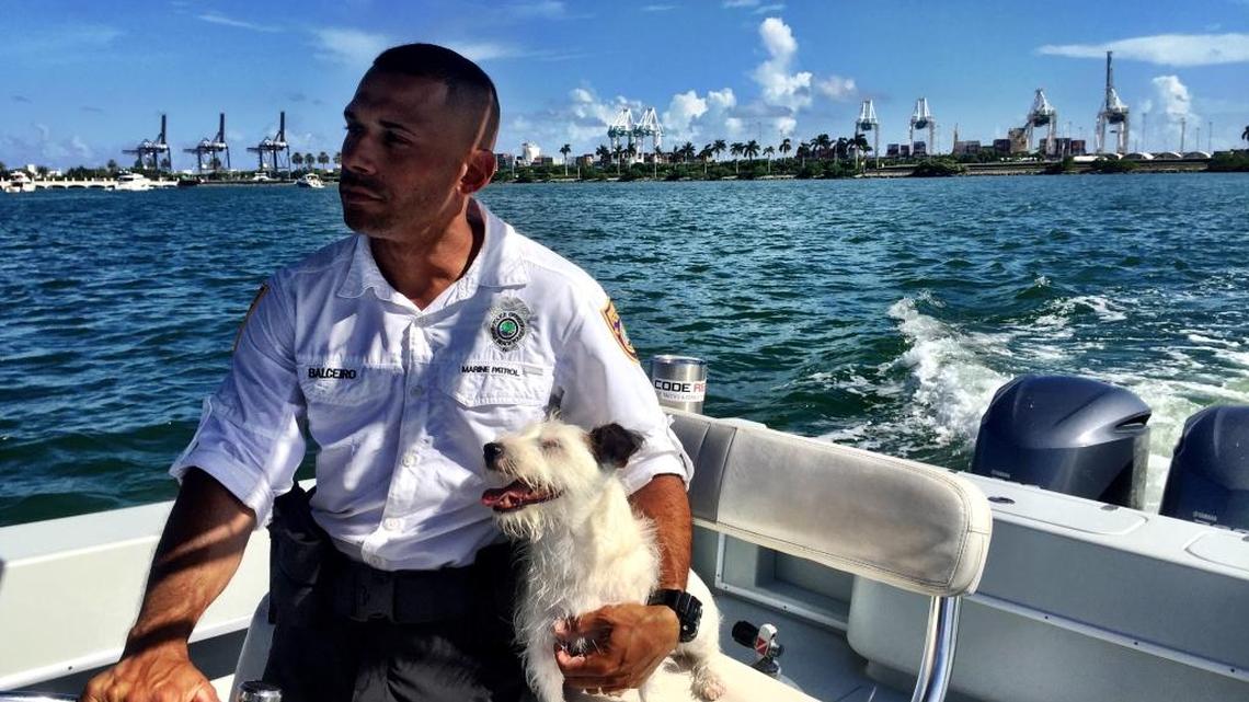 Miami Beach police officer Juan Balceiro drives through Biscayne Bay holding Oliver, a Jack Russell terrier, on July 8, 2017.
