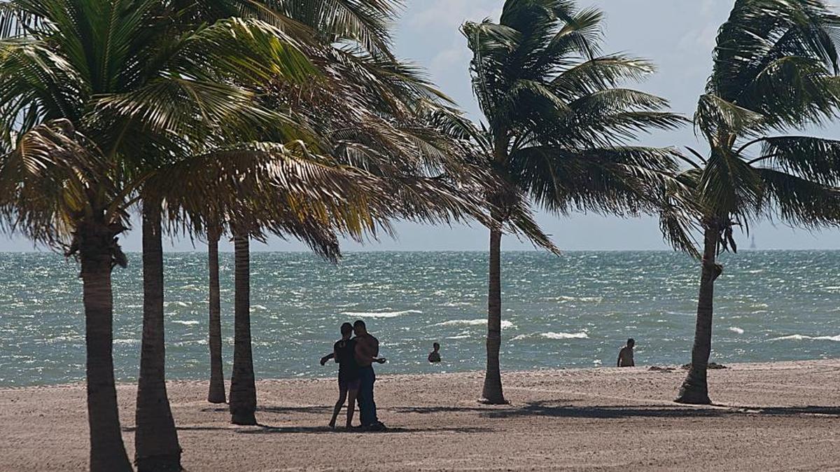 Both Crandon Sourth Beach and Crandon North Beach are under no swimming advisories as of Wednesday afternoon.