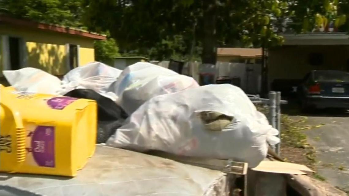 Seven children, between the ages of 1 and 9 years old, are in protective custody after being found in a house of filth in Miami Gardens.