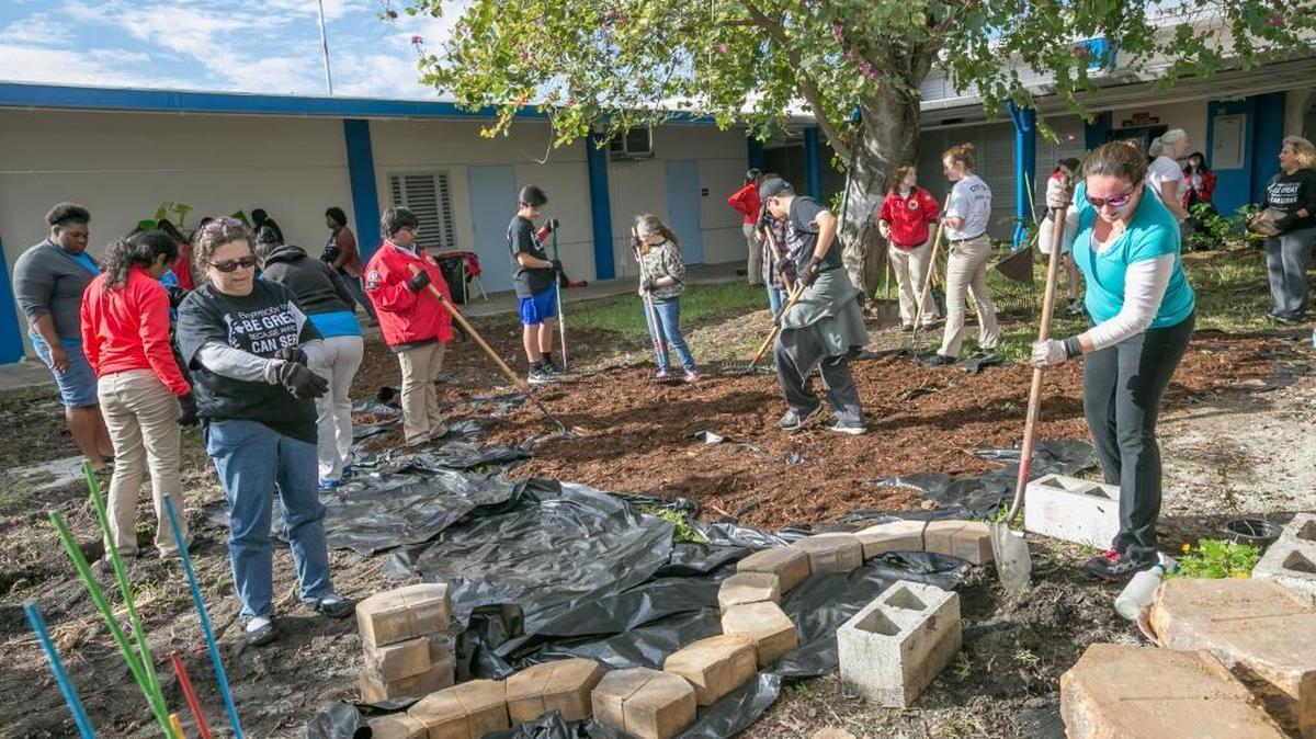Hundreds of South Floridians rolled up their sleeves on Monday, Jan. 18 to enhance the Myrtle Grove K-8 Center in Miami Gardens as part of the City Year Miami’s eighth annual MLK Day of Service. Picture here: City Year Miami AmeriCorps members, MLK Day volunteers and Mrs. Annette Wiscovitch (faculty from Myrtle Grove K-8, on the right) creating an educational garden for the school.