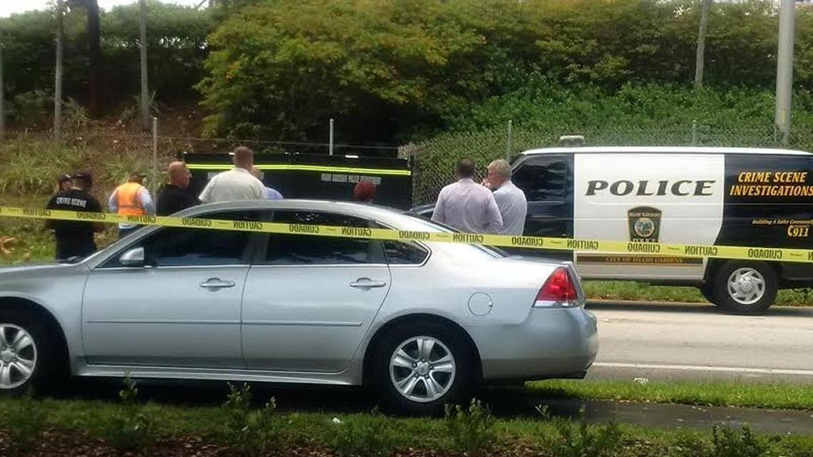 Miami Gardens officers investigate body parts in the brush off the Palmetto Expressway.