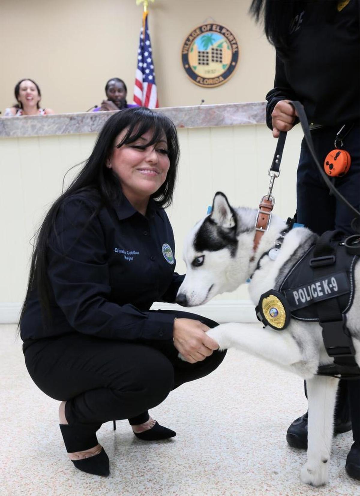El Portal Mayor Claudia V. Cubillos, left, shakes Arctic’s paw during a ceremony in which the Siberian husky was officially sworn in as a K-9 officer.