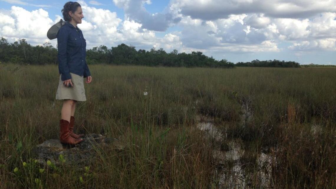 Miami Stories: An artist spends a month absorbing life in the Everglades